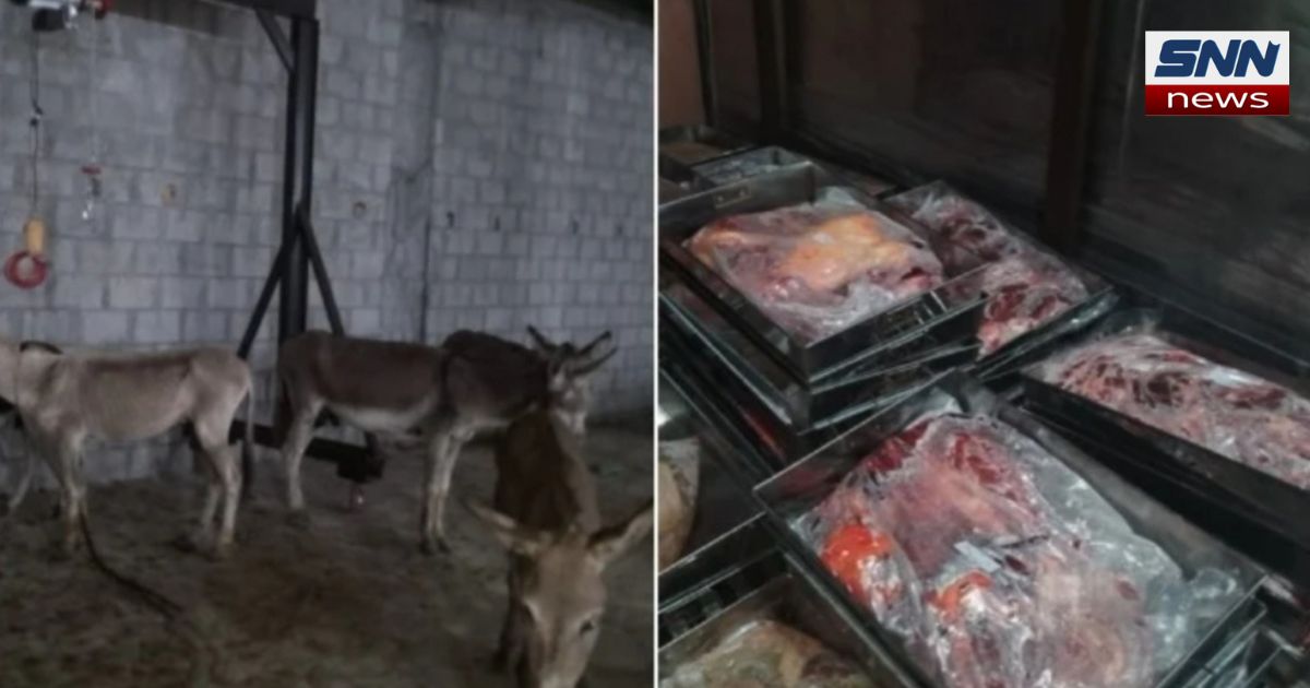 اسلام آباد میں چھاپے کے دوران 50 گدھے، 1000 کلو گوشت