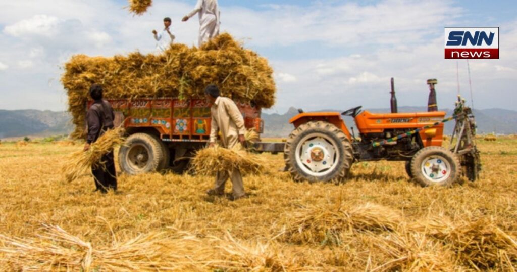 پاکستان کی زرعی سینس: 17 ہزار فارم 100 ایکڑ سے زائد زمین کے مالک