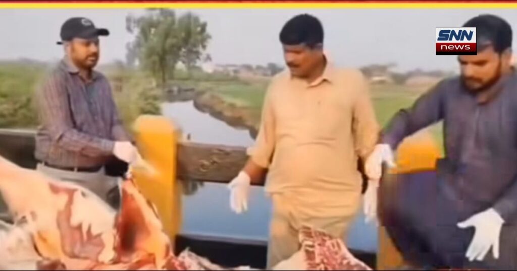 ننکانہ صاحب میں 250 کلو مضر صحت گوشت ضبط