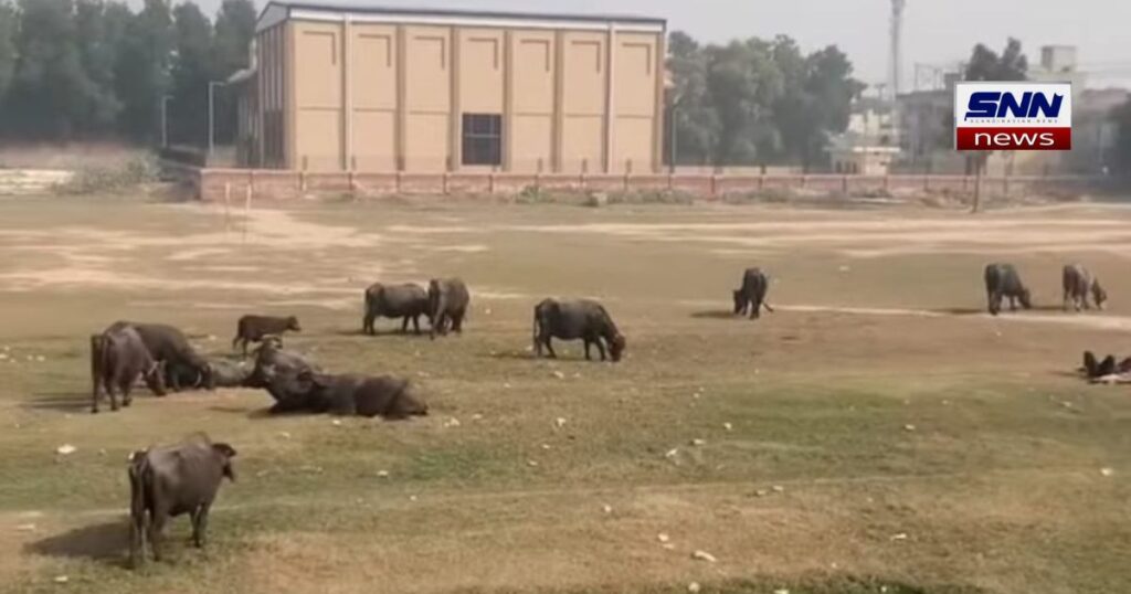 شاہکوٹ کا واحد گراؤنڈ تباہی کا شکار، انتظامیہ خاموش