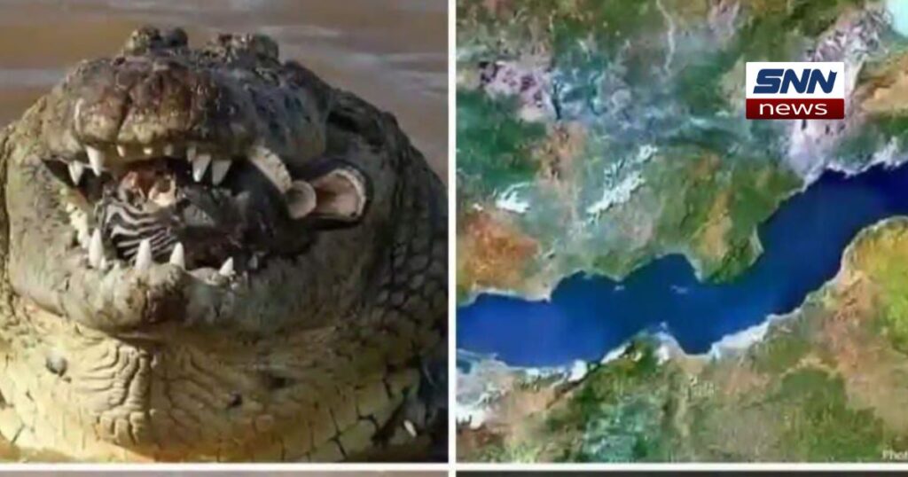 افریقہ میں بدنام آدم خور مگرمچھ گستاف دوبارہ خبروں میں