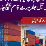 "روسی خام تیل کی کھیپ پاکستان پہنچ رہی ہے، 7 لاکھ 33 ہزار بیرل پورٹ قاسم میں وصول کیے جائیں گے"