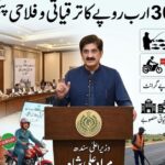 وزیراعلیٰ سندھ مراد علی شاہ کابینہ اجلاس کی صدارت کرتے ہوئے 30 ارب روپے کے ترقیاتی اور فلاحی پیکج کی منظوری دے رہے ہیں۔