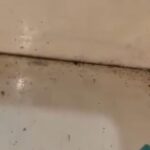 "الائیڈ ہسپتال فیصل آباد گائنی وارڈ صفائی کی ناقص صورتحال"